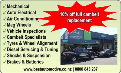 Print this Fluffy Kitten by Clicking Below